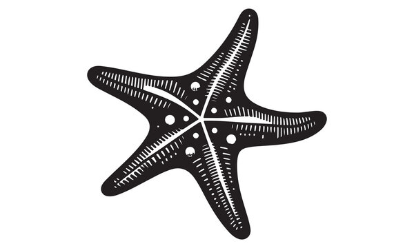 recommend clip art: starfish engraving black and white outline, Starfish silhouette vector illustration