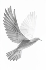 Obraz premium A white bird with its wings spread out in the air