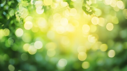 Obraz premium Abstract green background with bokeh and sparkles, suggesting a forest or nature scene.