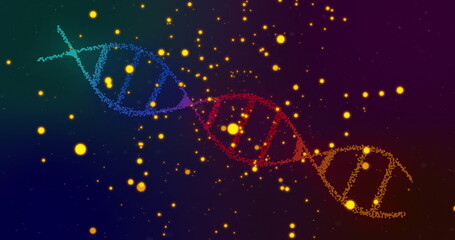 Fototapeta premium Image of dna strand over moving spots