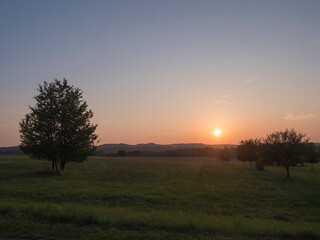 Orange sunset over green summer meadow and forest with alone cherry tree and deciduous tree alley, clear sky background, Countryside landscape, copy space, Kokorin region, central Bohemia