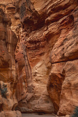 canyon in the desert of Jordan without people