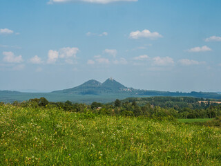 Summer flowering meadow in Borejov with view of Bezdez ruin of early Gothic castle with his two dominant hills in background. Blue sky white clouds, copy space. Kokorin region, central Bohemia