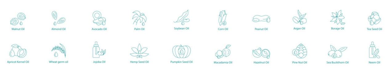 Ultimate Plant Oils Collection Vector Icon Set: Walnut, Almond, Avocado, Palm, Soybean, Corn, Peanut, Argan, Borage, Tea Seed, Apricot Kernel, Wheat Germ, Jojoba, Hemp, Pumpkin Seed, Macadamia 