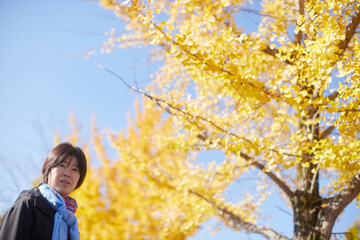 冬の季節の黄色いイチョウの木の葉の風景と公園で散歩する中年女性の姿