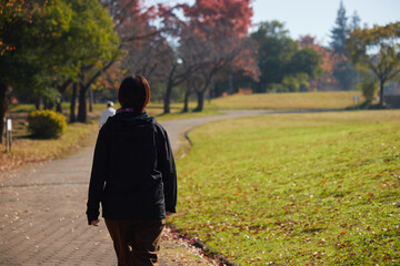 Fototapeta premium 冬の公園で散歩する一人の中年女性の後ろ姿