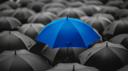 A single blue umbrella stands out from a group of black umbrellas, representing individuality and difference.