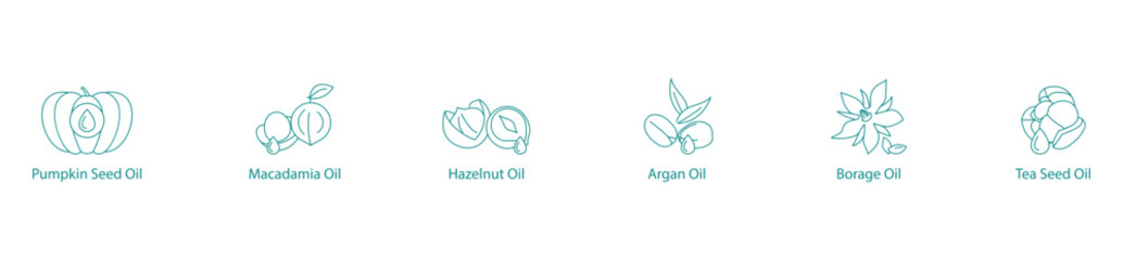 Fototapeta premium Luxury Nut and Seed Oils Vector Icon Set: Pumpkin Seed, Macadamia, Hazelnut, Argan, Borage, Tea Seed