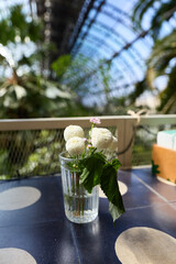 Elegant White Flowers in a Glass Vase, Showcasing Their Charm and Aesthetic Appeal