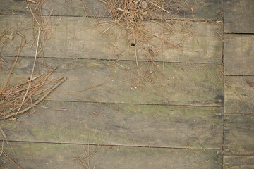 wooden board with dry pine leaves