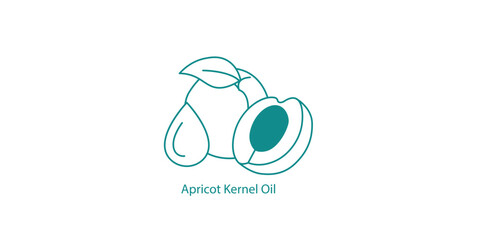 Apricot Kernel Oil Vector Icon for Health and Beauty