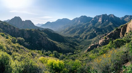 Obraz premium Sunlit mountain valley, lush vegetation, rocky peaks.