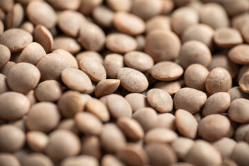 Close-up of Lentils of the pardina variety from Leon, Spain