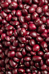 Close-up detail of Anguiano beans from La Rioja, Spain