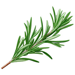 Rosemary