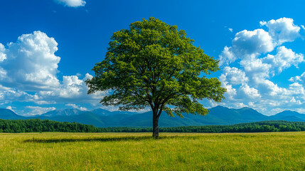 A solitary tree rises in a lush meadow, surrounded by greenery, with a stunning blue sky and fluffy white clouds above, alongside distant mountain peaks