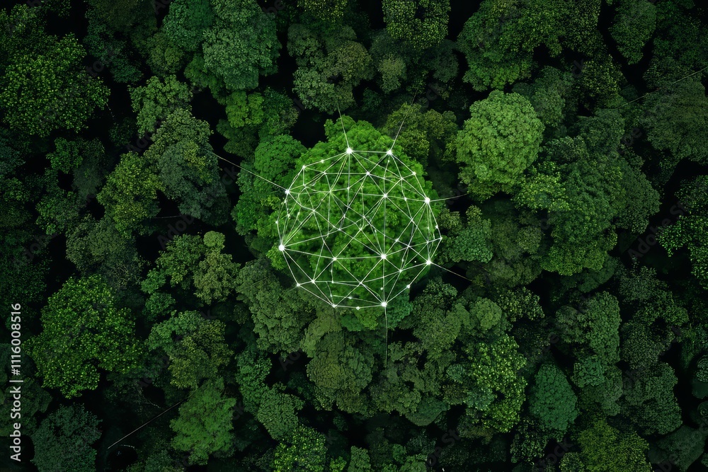 Poster An aerial view of a green forest at dawn with glowing technological communication lines, created with Stock.