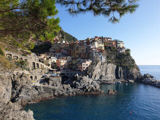 A stunning view of the colorful village of Manarola perched on a cliffside overlooking the Ligurian Sea, framed by lush green pine branches.