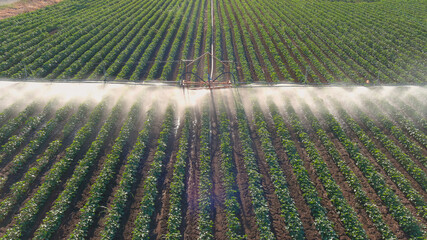 Irrigation system on the field.