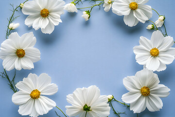 Fototapeta premium Delicate white cosmos flowers arranged in a circular frame against a soft blue background, creating a serene and elegant floral design. Perfect for invitations, blogs, or websites.