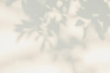 Leaf shadow and light on wall background. Nature tropical leaves tree branch and plant shade with sunlight from sunshine dappled on white wall texture for background wallpaper, shadow overlay effect
