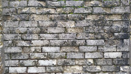 Obraz premium A Weathered Brick Wall Texture That is Beautifully Illuminated by Natural Light in an Urban Setting