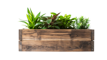 Wooden planter box with plants PNG, isolated on transparent background.AI GENERATED