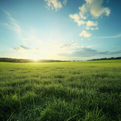 Obraz premium A vast grassland under a vibrant sky, the sunlight touching the field softly, a serene landscape