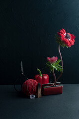 Still life on black background with wallet red anemones, red objects and pine branches symbolizing...