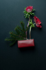 Still life on black background with wallet red anemones, red objects and pine branches symbolizing...