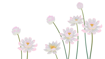 Obraz premium Lotus flower oriental painting linework illustration transparent background