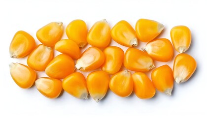 Fototapeta premium Top View of Yellow Sweet Corn Seeds Isolated on White Background