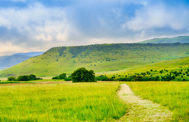 Obraz premium Lush grassland and rolling hills landscape of Wakkerstroom village under an overcast sky, Mpumalanga, South Africa