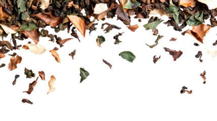 A collection of dried leaves in various colors, showcasing nature's textures and patterns. Ideal for design or natural-themed projects.