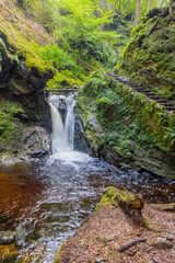 Pucks Glen gorge trail, Dunoon, Cowal peninsula, Argyll and Bute, Scotland