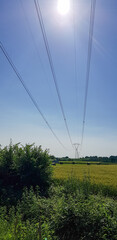 The bright sun shines down through power lines in an open field