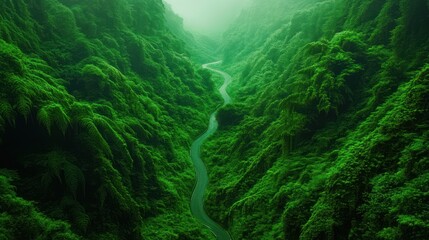 Winding road through lush green valley, misty mountain landscape.