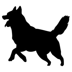 Siberian husky dog silhouette on white background. Black vector dog. Isolated vector element. © alicee