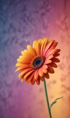 Obraz premium A single gerbera flower against a bright and colorful background, solitary flower, spring flowers