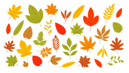 Obraz premium Colorful autumn leaves various shapes. Fall foliage illustration with leaves in red, orange, yellow, and green