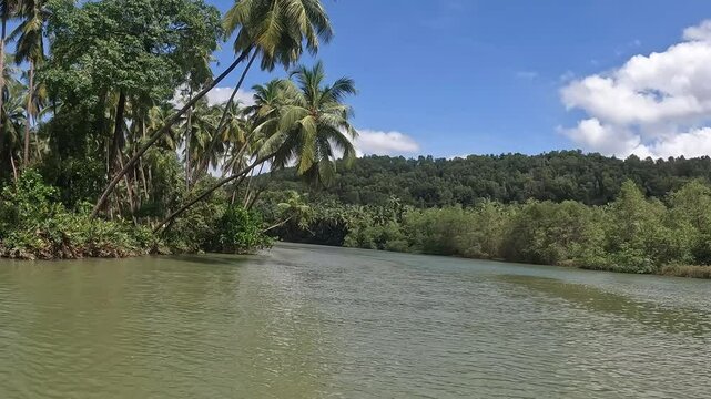 Beautiful Backwaters Boating just sit relax and enjoy the boat ride with coconut trees on both the sides at Honnavar, Gokarna, Karnataka, India