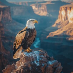 Fototapeta premium A majestic eagle perches on a rocky outcrop, surveying the breathtaking canyon landscape at sunrise, symbolizing freedom and strength, Ideal for nature-related projects, conservation themes