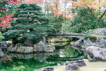 Naklejka premium 京都の醍醐寺の紅葉