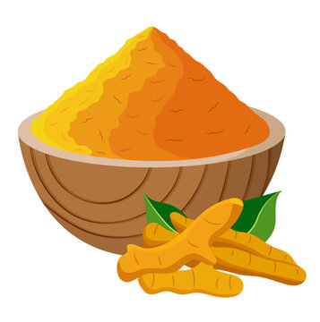Haldi Powder with Turmeric Root Herb Illustration Isolated on White Background