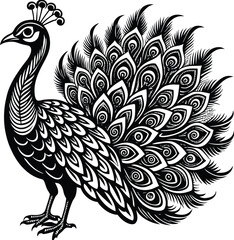 Fototapeta premium peacock black and white vector 