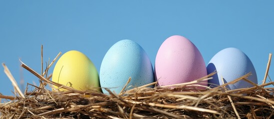 Fototapeta premium Colorful Easter eggs nestled in fresh hay against a clear blue sky capturing the spirit of spring and holiday celebrations.