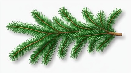 Obraz premium Top view of a lush green fir tree spruce branch with detailed needles against a soft, neutral background, nature, botanical illustration, foliage, close-up.