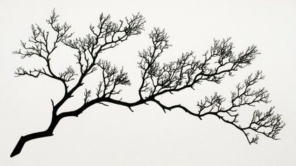 Fototapeta premium Silhouetted tree branches against a minimalist background showcasing intricate natural patterns and organic forms for artistic designs.