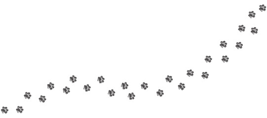 Naklejka premium Pencil hand drawn dog tracks icon. Footprint vector illustration