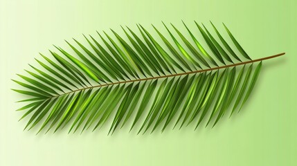 Obraz premium tropical palm leaf isolated on green background showcasing vibrant foliage in natural design elements for summer and nature concepts
